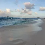 Bois Soleil
