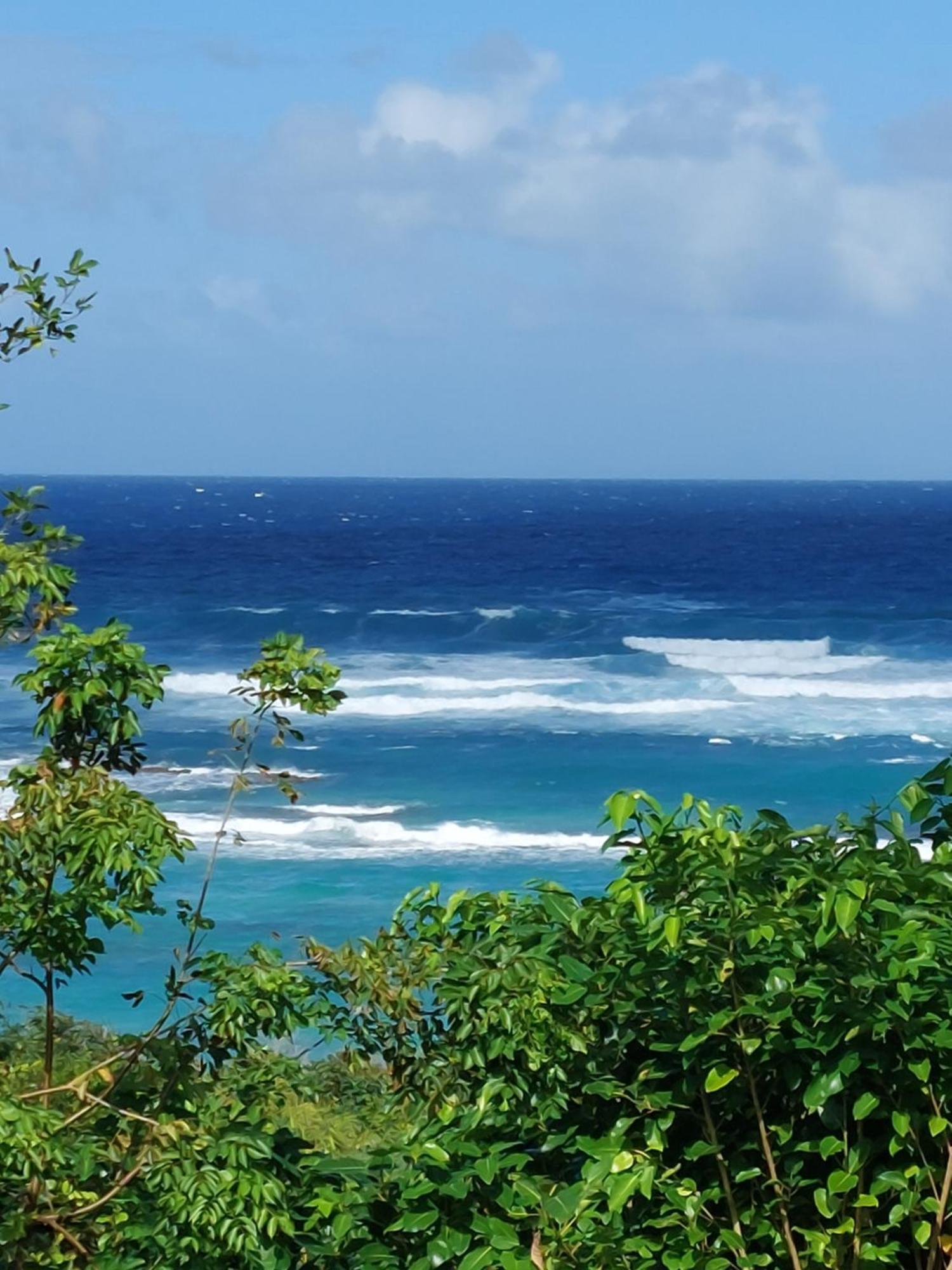 Bois Soleil * Saint-Francois (Grande-Terre)